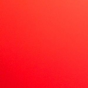 Meet your Posher, Ricky